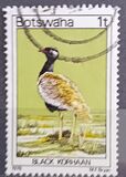 [Birds, Tipe GP]