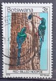 [Birds, Tipe GR]