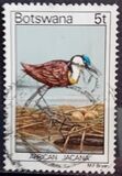 [Birds, Tipe GT]