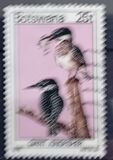 [Birds, Tipe GY]