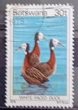 [Birds, Tipe GZ]