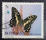 [Christmas - Butterflies, տեսակ MM]
