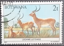 [Animals of Botswana, type ON]