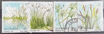[Christmas - Grasses and Sedges of Okavango, type PG]