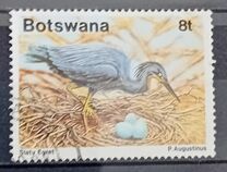[Birds - Slaty Egret, Tipe QM]