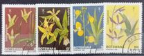 [Christmas - Orchids, type QV]