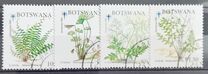 [Christmas - Ferns, type TT]