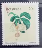 [Christmas - Parts of Life Cycle for "Adansonia digitata", type WQ]