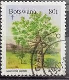 [Christmas - Parts of Life Cycle for "Adansonia digitata", type WS]