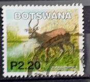 [Mammals, type ACC]