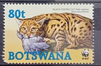 [Endangered Species - Black-footed Cat, Typ AEH]