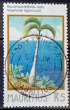 [Palm Trees, type OU]