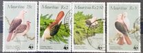 [Global Conservation - Pink Pigeon, tip PN]