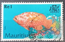 [Fish, 类型 AAT]