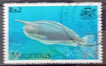 [Fish, 类型 AAU]
