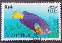 [Fish, 类型 AAW]