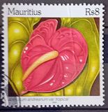 [Anthurium Species, type AEA]