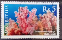 [Corals, type AFN]