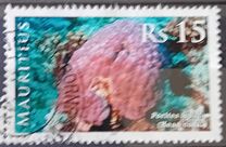 [Corals, typ AFP]
