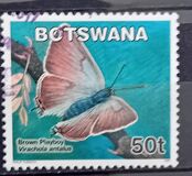 [Butterflies, type AGA]
