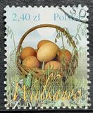 [Easter, type GEP]