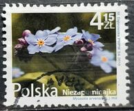 [Flowers and Fruits - Myosotis, type GFD]