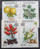 [Spices, 유형 WM]