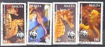 [WWF - Seahorse, tegund AKI]