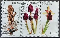 [Indigenous Flora, Typ DLN]