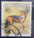 [Mammals, type ABT]