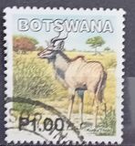 [Mammals, type ABZ]