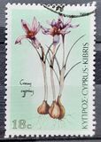 [Flowers, tegund VV]