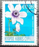 [Flowers, տեսակ AJP]