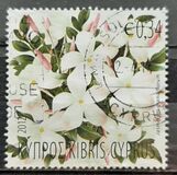 [Flora - Plants, タイプ ANZ]