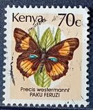 [Mariposas., tipo PB]