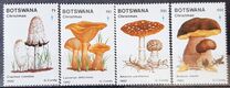 [Christmas - Fungi, type LE]
