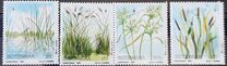 [Christmas - Grasses and Sedges of Okavango, type PG]