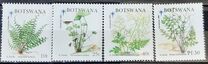 [Christmas - Ferns, type TT]