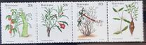 [Christmas - Plants, Tipi VR]