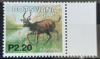 [Mammals, type ACC]