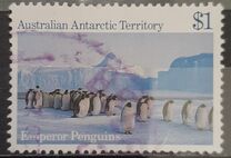 [Antarctic Scenes, type BT]