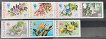 [Flowers, type GN]