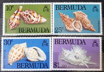[Sea Shells, type KG]