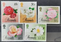 [Old Garden Roses, タイプ PO]