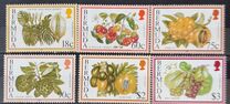 [Flowering Fruits, type UI]