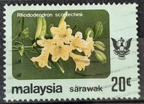 [Flowers, type CJ]