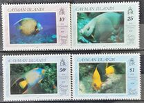 [Fish - Angelfish, type SY]