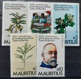 [The 100th Anniversary of Robert Koch's Discovery of Tubercle Bacillus, type NF]