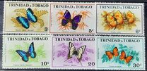 [Butterflies, Scrivi FL]