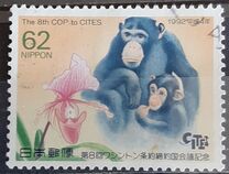[The 8th Conference of Parties to Convention on International Trade in Endangered Species, Kyoto City, type CIT]